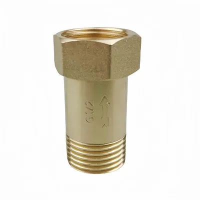 Egyetlen visszacsapó szelep